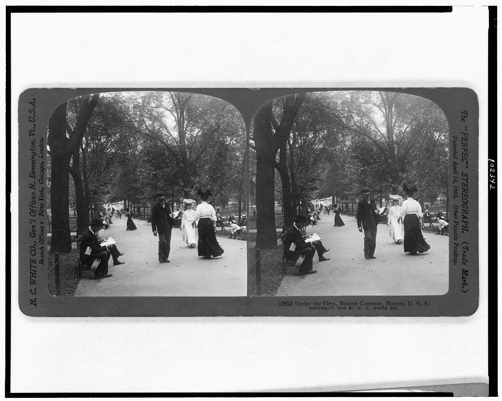 Under the elms, Boston Common, Boston, U.S.A., N. Bennington, Vt., U.S.A. : H.C. White Co., c1906. — historic photograph