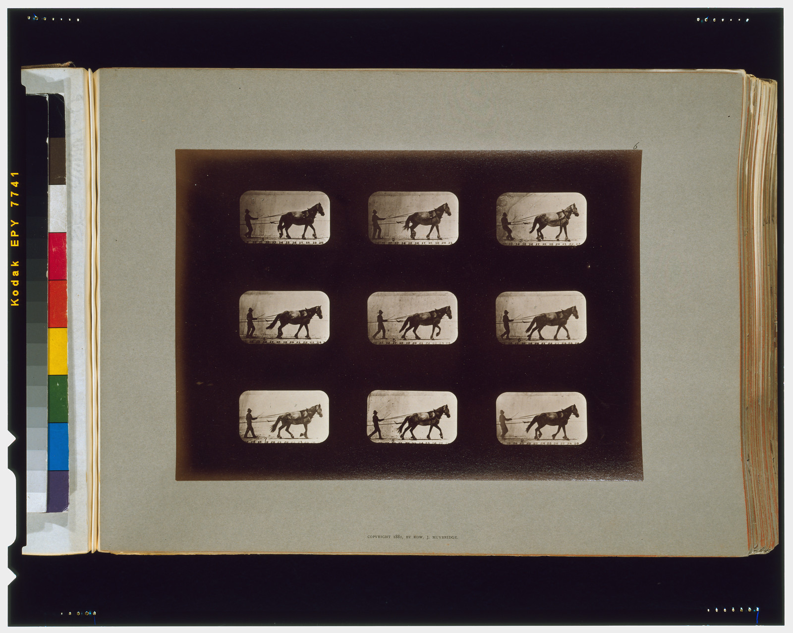 Horses. Irregular, [San Francisco] : Muybridge, c1881. — historic photograph