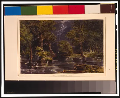 The Chickahominy Swamp