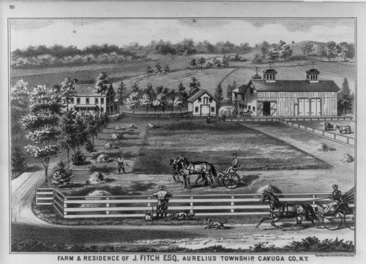 Farm and residence of J. Fitch, Esq., Aurelius Township, Cayuga Co., N.Y. — antique lithograph