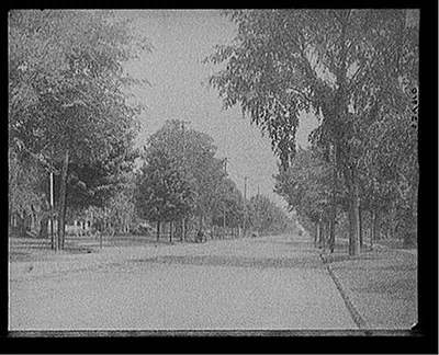 [Sumner Avenue looking east, Springfield, Mass.]
