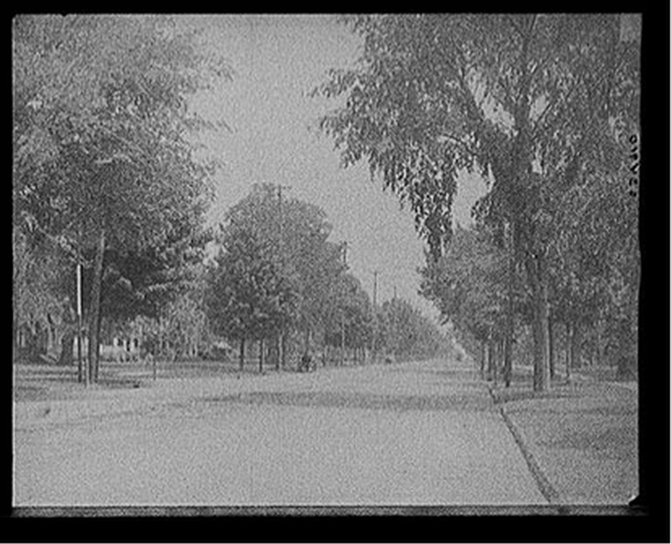 [Sumner Avenue looking east, Springfield, Mass.], [between 1900 and 1910] — historic photograph