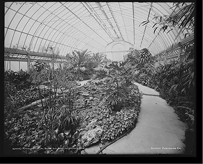 Conservatory on Belle Isle [Park], interior, Detroit, Mich.