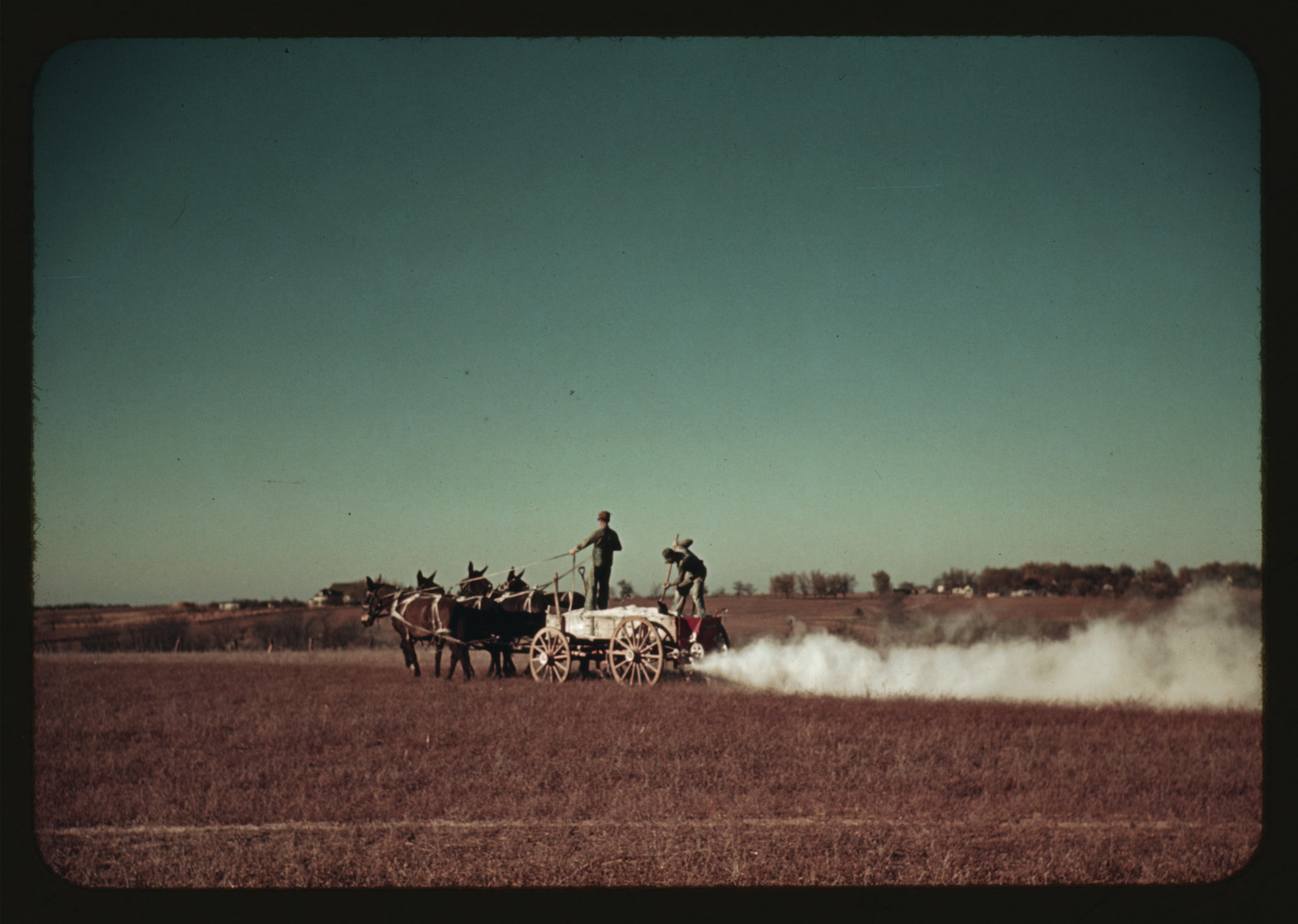 Spreading fertilizer from 4-mule team wagon, Georgia — historic image