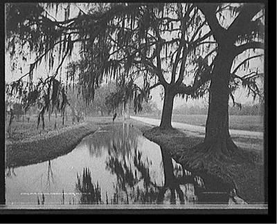 Canal and oaks, Audubon Park, New Orleans, La.