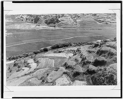 To prevent the soil from land slide the keen (sic) slopes are made into innumerable terrace, of which some are just a size for a farmer to work