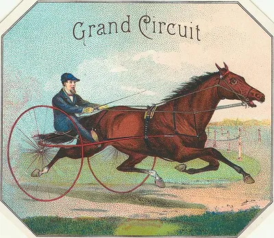Grand Circuit: trotting horse pulling a driver in a sulky