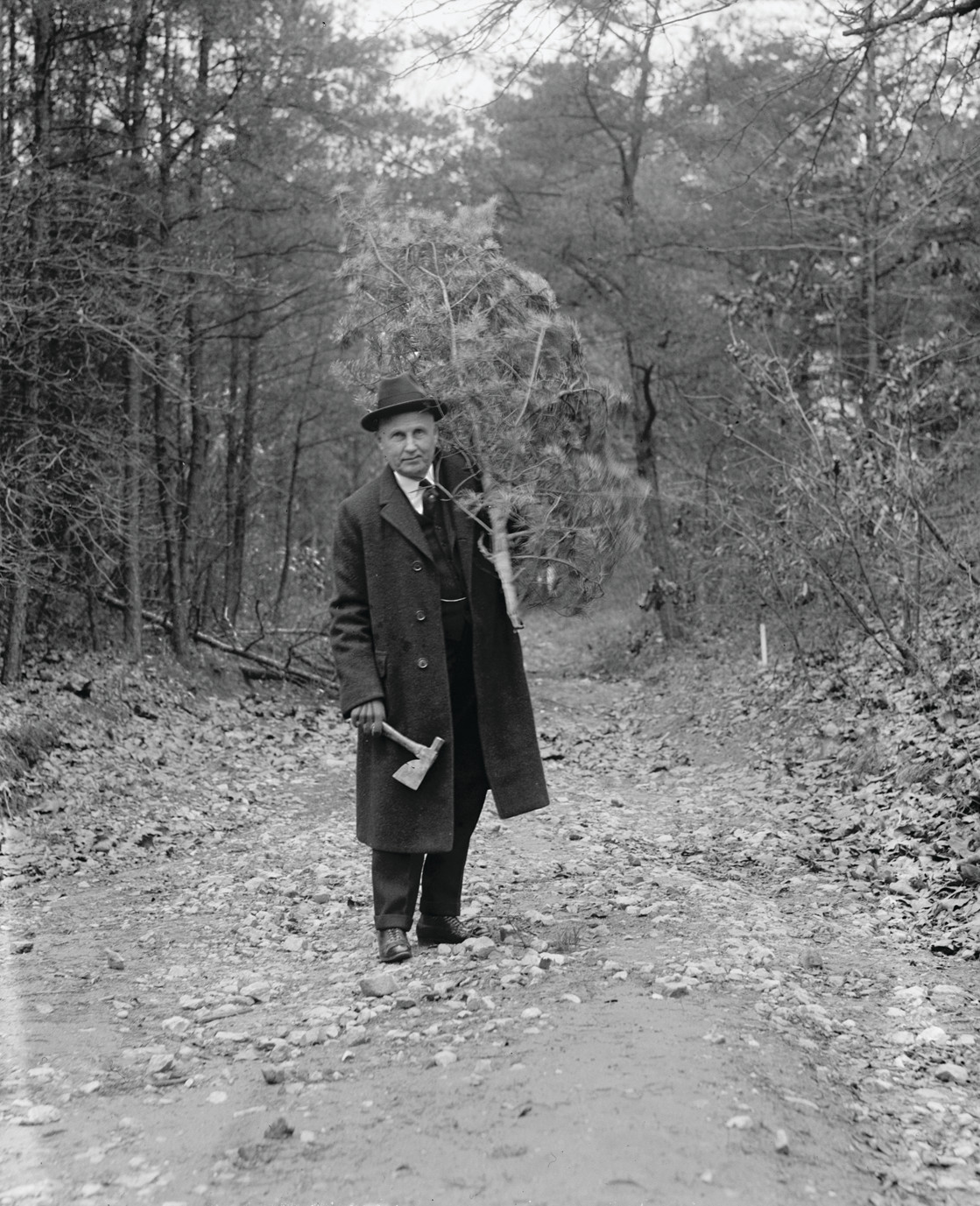 Cameron & Christmas Tree,12/15/22, c. 1922 — historic photograph