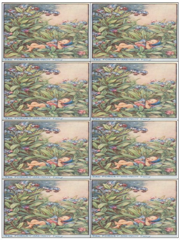 Sheet of eight Forget-Me-Not Fairy label illustrations — historic image