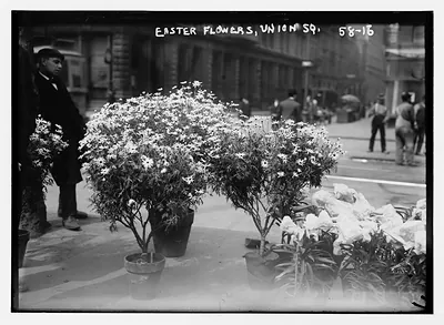 Easter flowers for sale in Union Square, New York