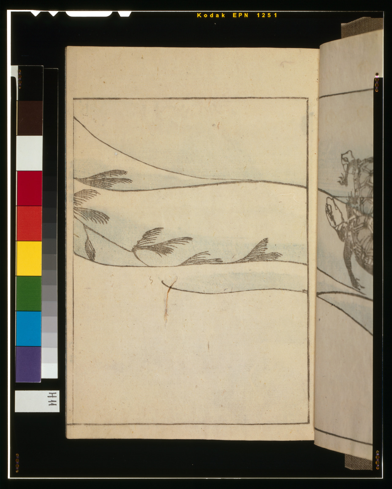 Japanese woodblock book pages with grasses and a frog — historic print