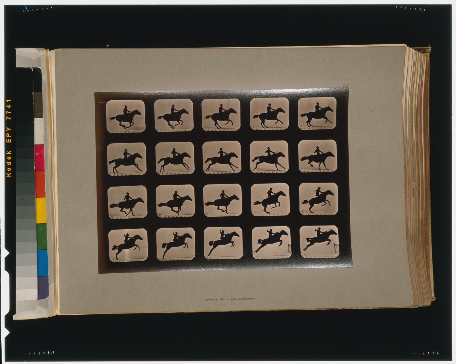 Horses. Leaping a 3 ft. 6 hurdle, [San Francisco] : Muybridge, c1881. — historic photograph