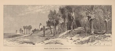 Mouth of the St. John's River, looking out