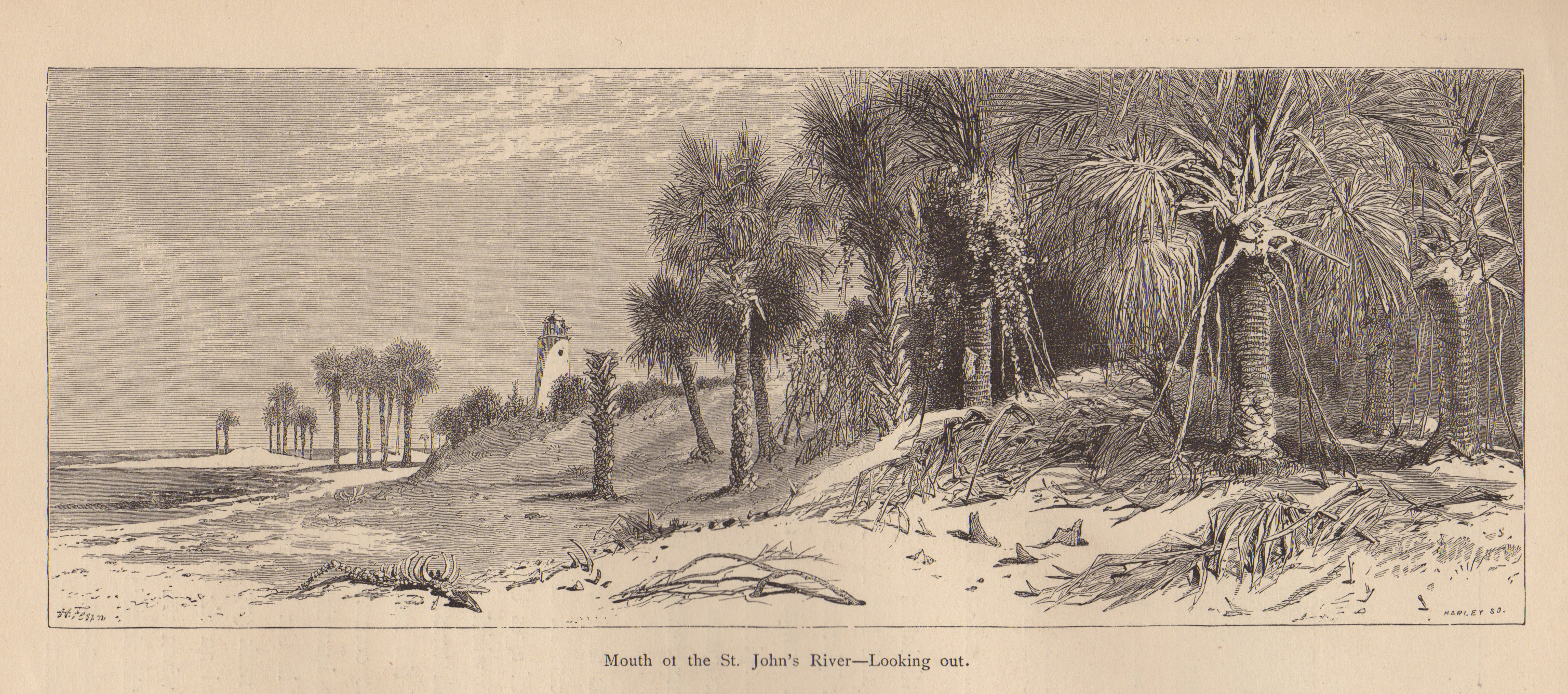 Mouth of the St. John's River, looking out — historic image