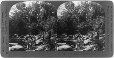 In the forests of Mindanao, P.I.