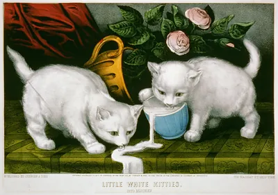 Little white kitties: into mischief