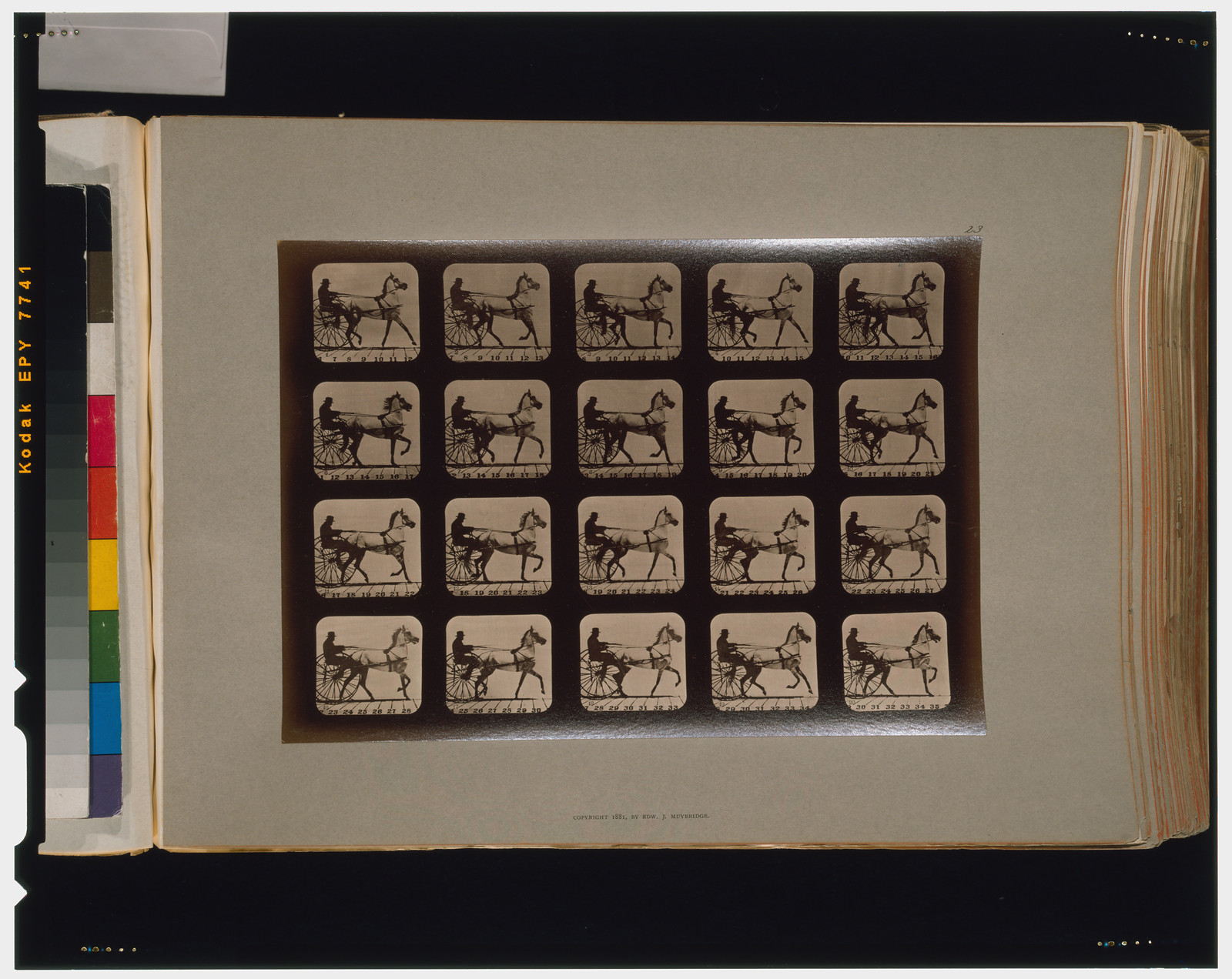 Horses. Trotting, [San Francisco] : Muybridge, c1881. — historic photograph