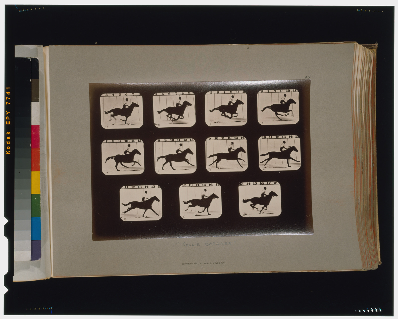 Horses. Running, [San Francisco] : Muybridge, c1881. — historic photograph