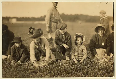 Annette Roy, the youngest worker. Said 7 years old. Picked last year. Lives 171 Orange Street, Fall River, Mass. Also Napoleon Ruel, 53 Hopkins Street, Fall River, Mass. Said 9 years old. Location: South Carver [vicinity] - Smart's Bog, Massachusetts.