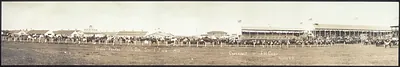 Stock parade at South Dakota State Fair, 1912