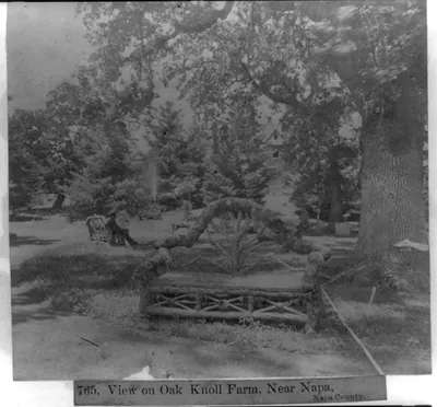 View on Oak Knoll Farm, near Napa, Napa County