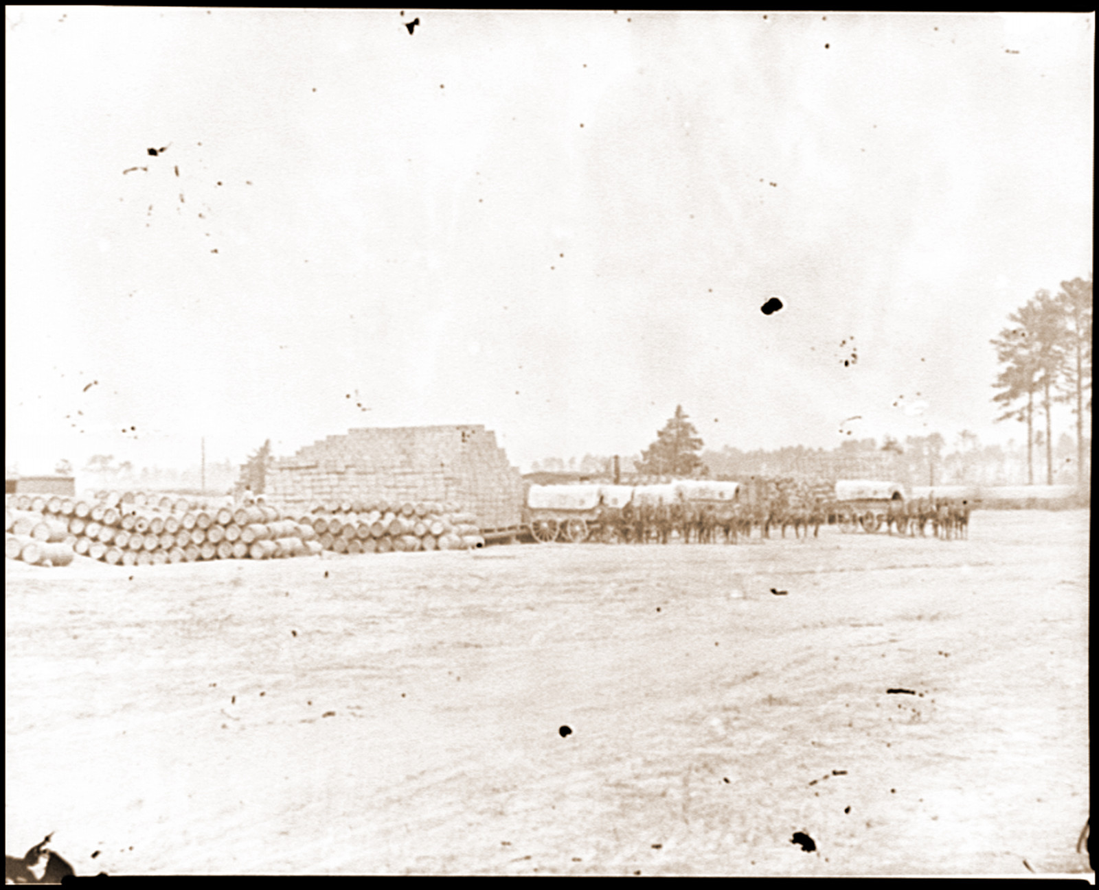 Cedar Level Va. Commissary depot with supply train wagons, 1864 — historic photograph