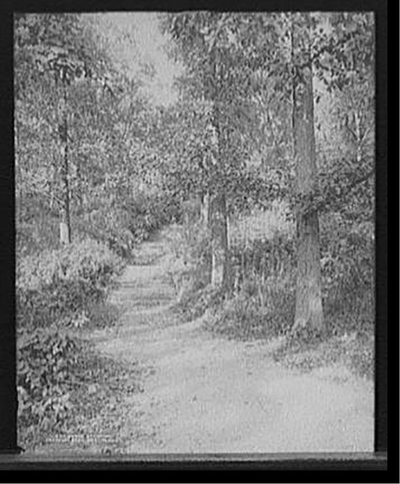Stone stairway, Franklin Park, Boston, Mass., c1906. — historic photograph