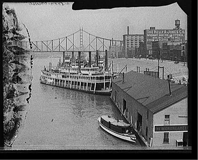[The Levee from Smithfield Street Bridge, Pittsburgh, Pa.]