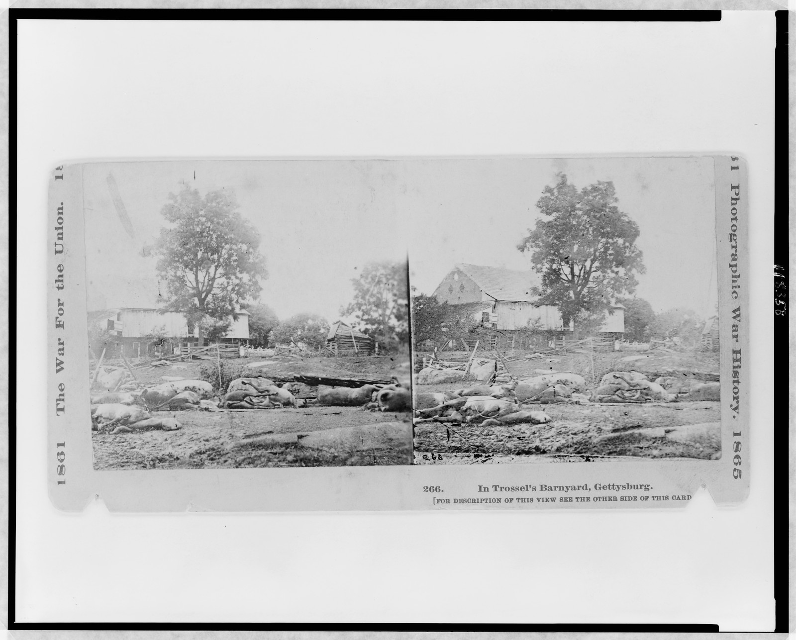 In Trossel's barnyard, Gettysburg, Hartford, Conn. : The War Photograph & Exhibition Company, [between 1863 and 1865, printed later] — historic photograph