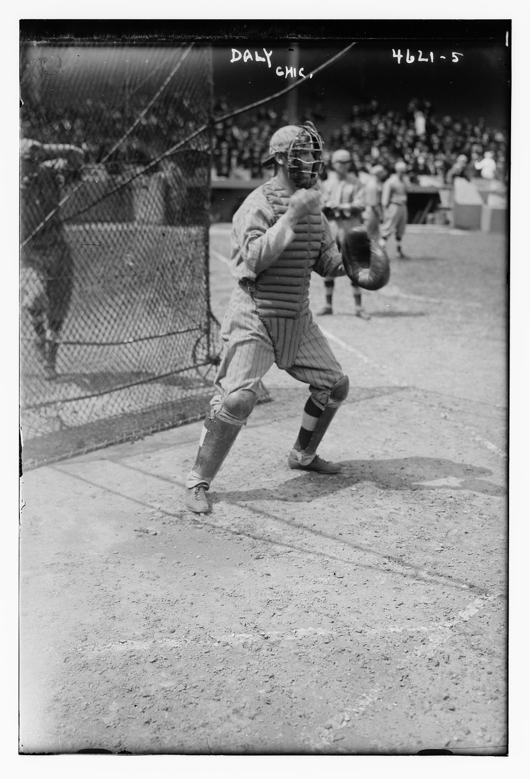 Daly, Cubs, n/a — historic photograph