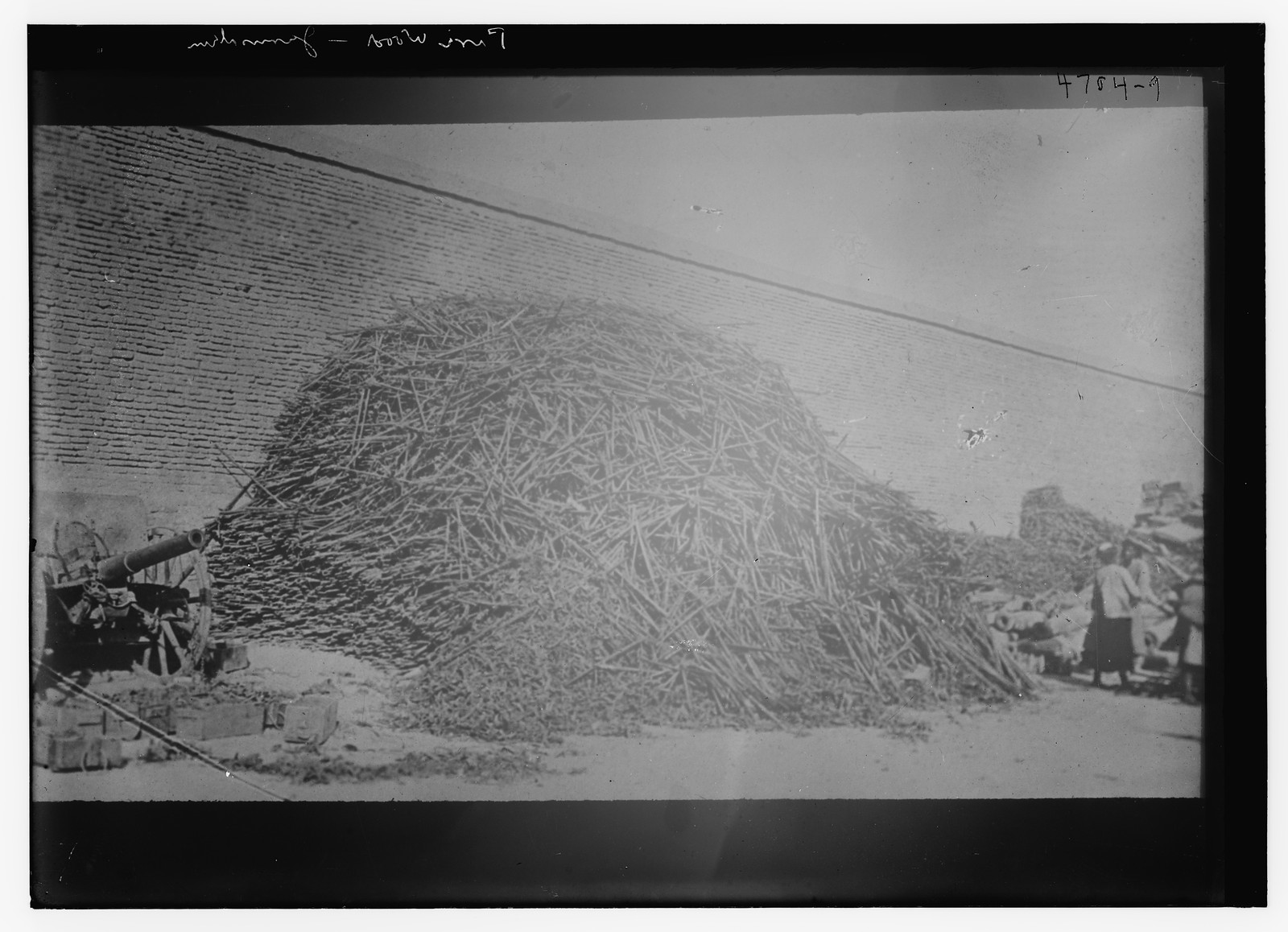 Fire Wood -- Jerusalem, n/a — historic photograph