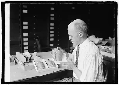 Prof. Chas. W. Gilmore, Dinosaur egg casts, 7/29/24