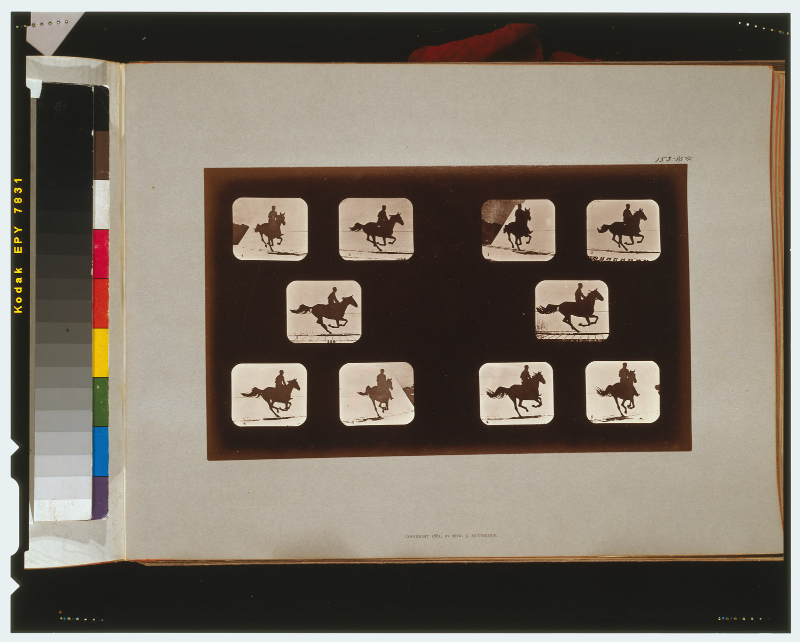 Horses. Running, [San Francisco] : Muybridge, c1881. — historic photograph