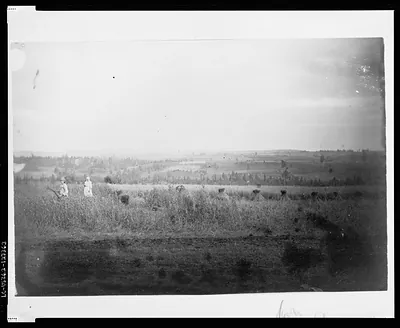 [Women reaping in cultivated land near Krasno i arsk]
