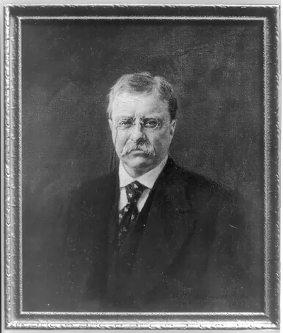 [Theodore Roosevelt, head and shoulders portrait, facing slightly left]