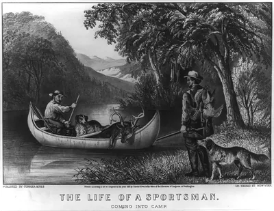 The life of a sportsman: coming into camp