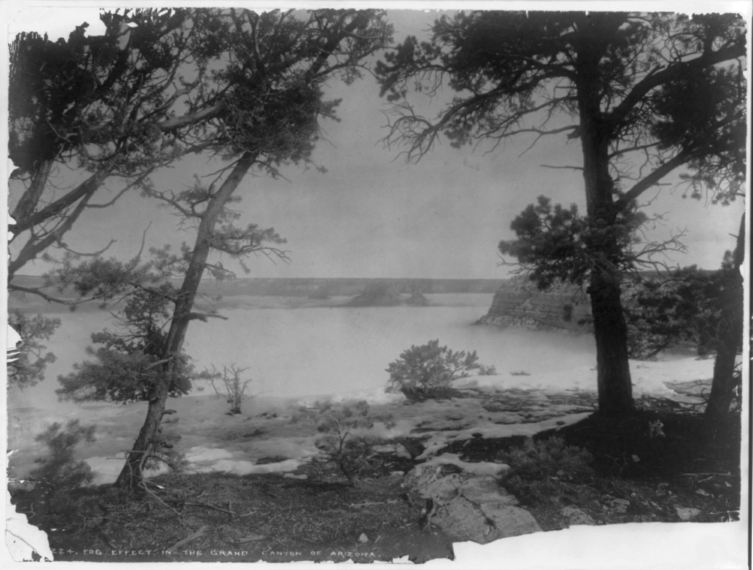 Fog effect in the Grand Canyon of Arizona, [between 1898 and 1914] — historic photograph
