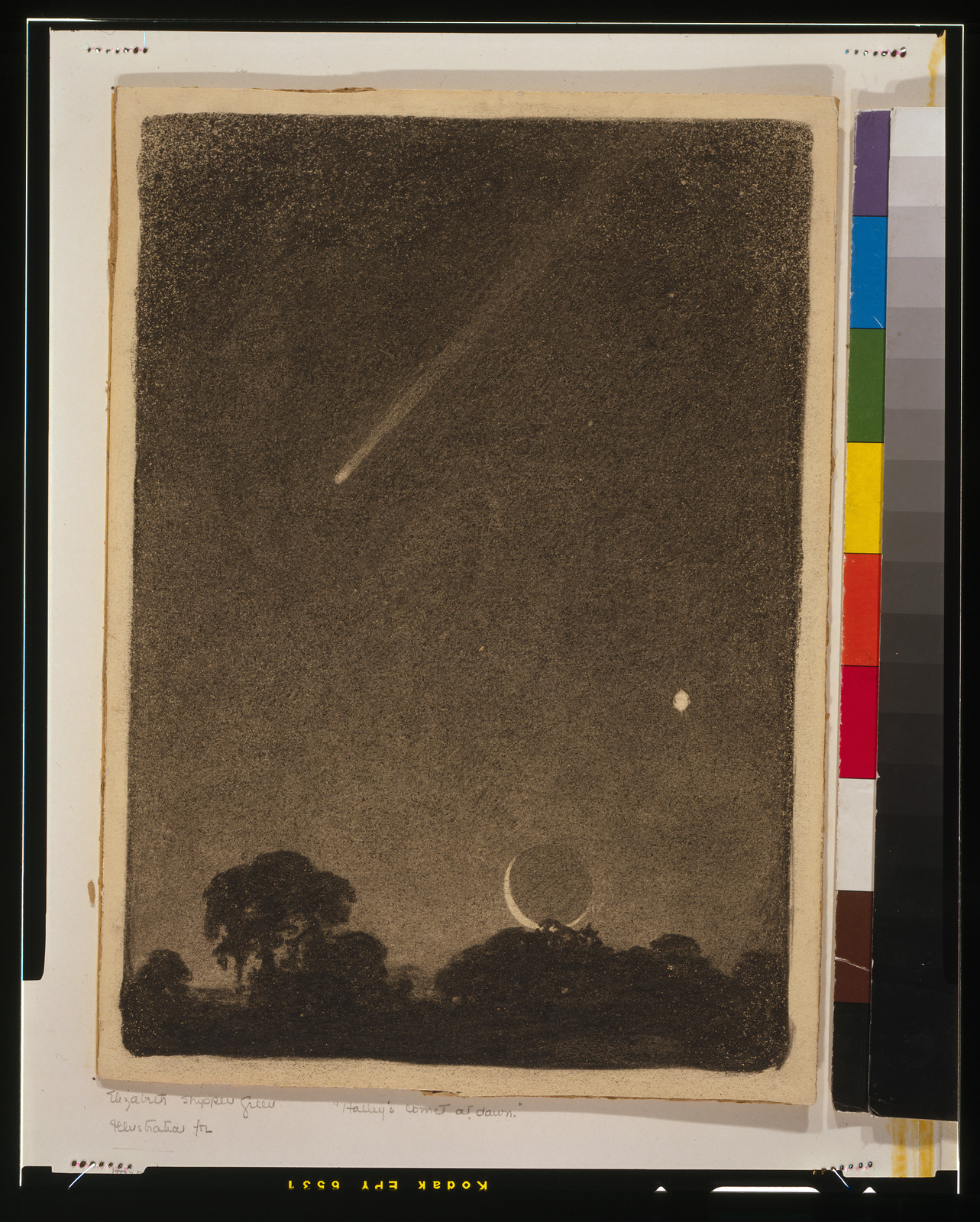 Halley's comet at dawn — historic drawing