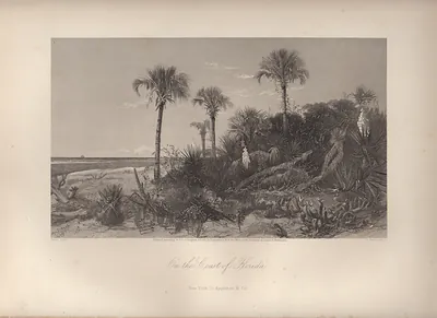 On the Coast of Florida