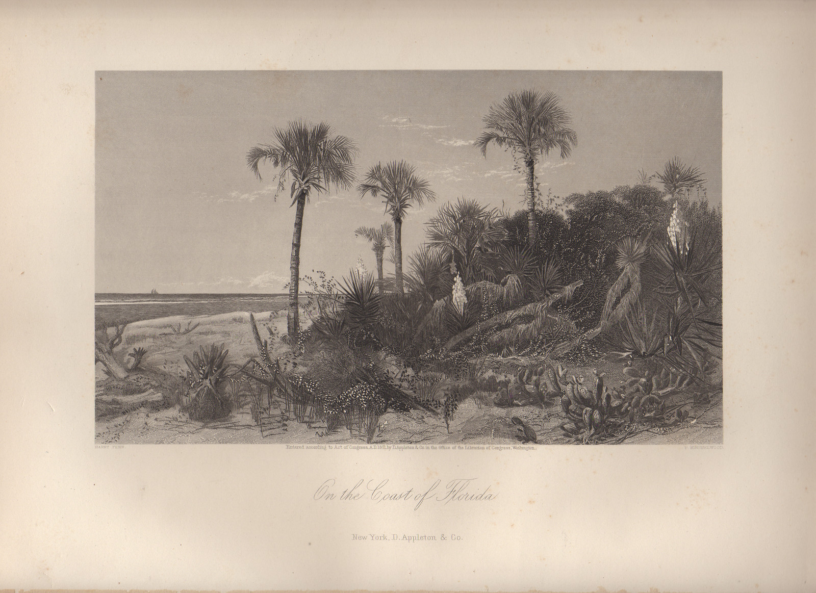 On the Coast of Florida — historic image