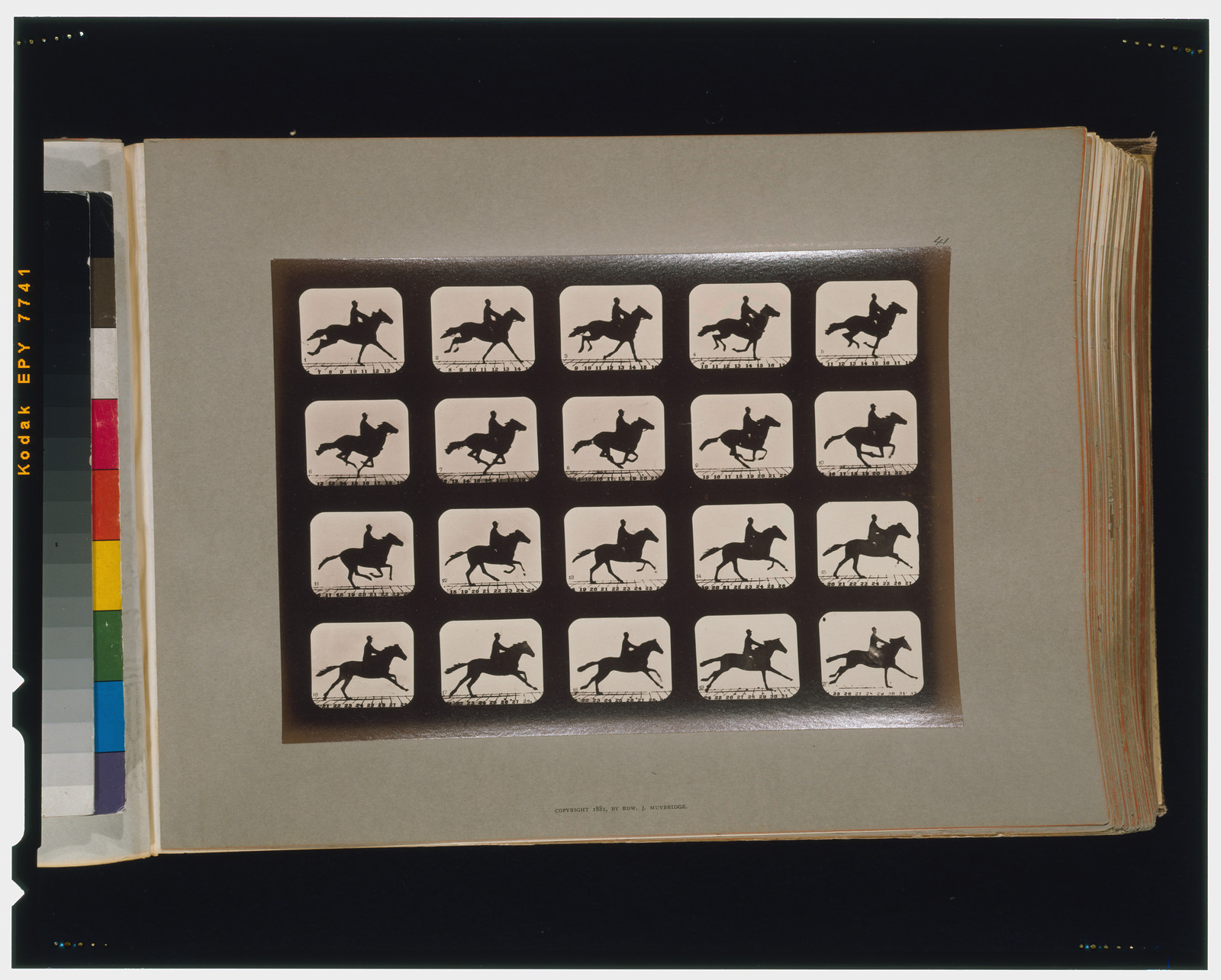 Horses. Running, [San Francisco] : Muybridge, c1881. — historic photograph