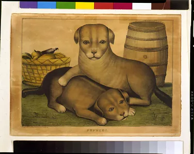Puppies / Kelloggs & Comstock, Hartford, Conn. ; D. Needham, Buffalo.