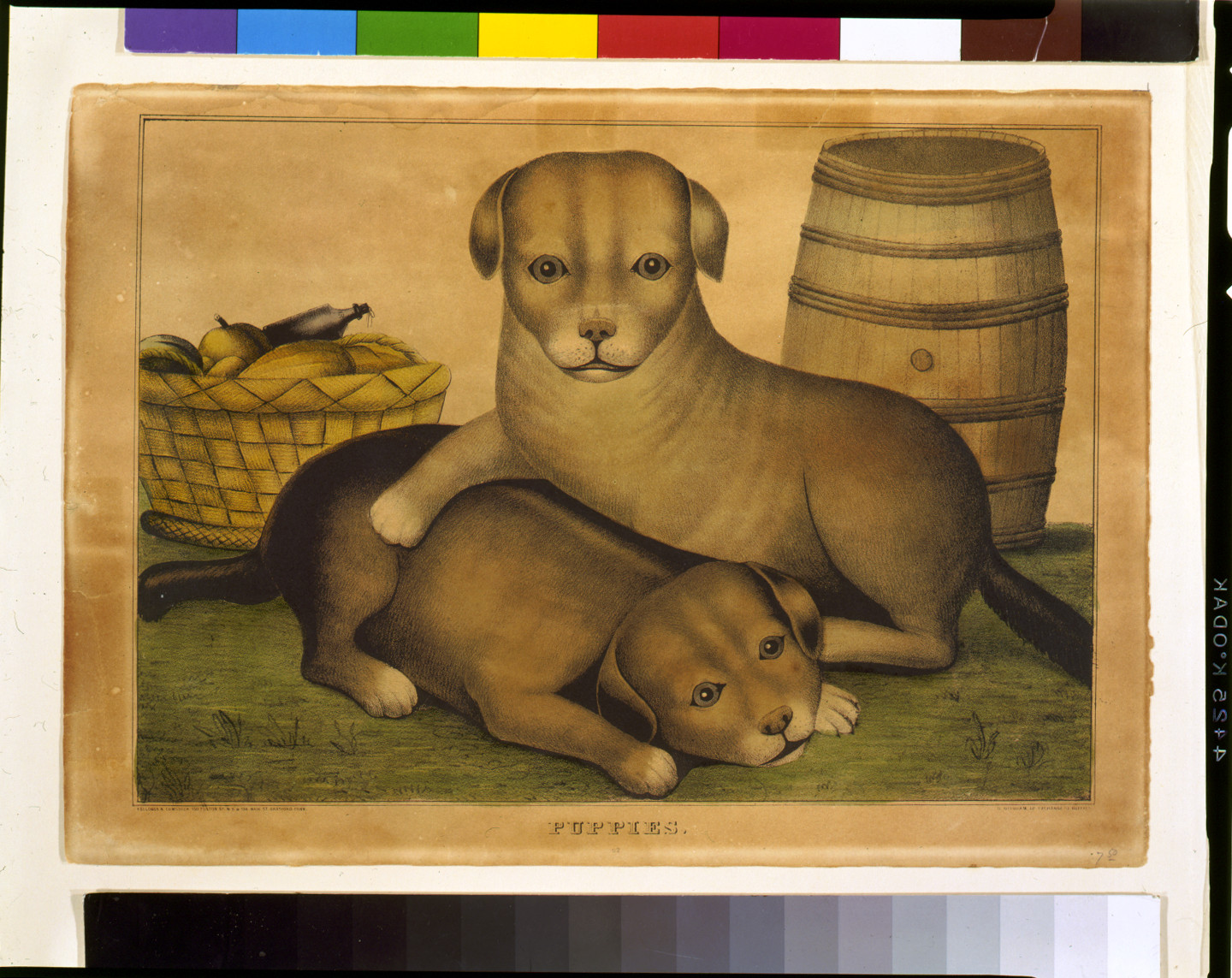Puppies / Kelloggs & Comstock, Hartford, Conn. ; D. Needham, Buffalo., [between 1848 and 1850] — antique lithograph
