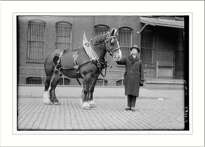 O'More and horse