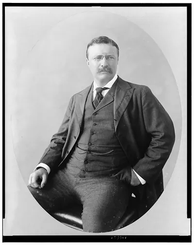 [Theodore Roosevelt, three-quarter length portrait, seated, facing right]