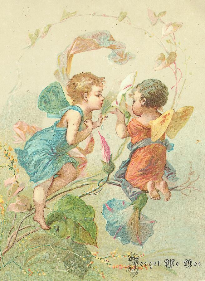 Two winged fairy children kissing over flowers, Forget Me Not card — historic image