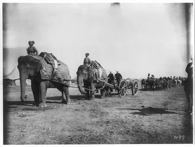 Elephant battery of heavy artillery along the Khyber Pass at Campbellpur