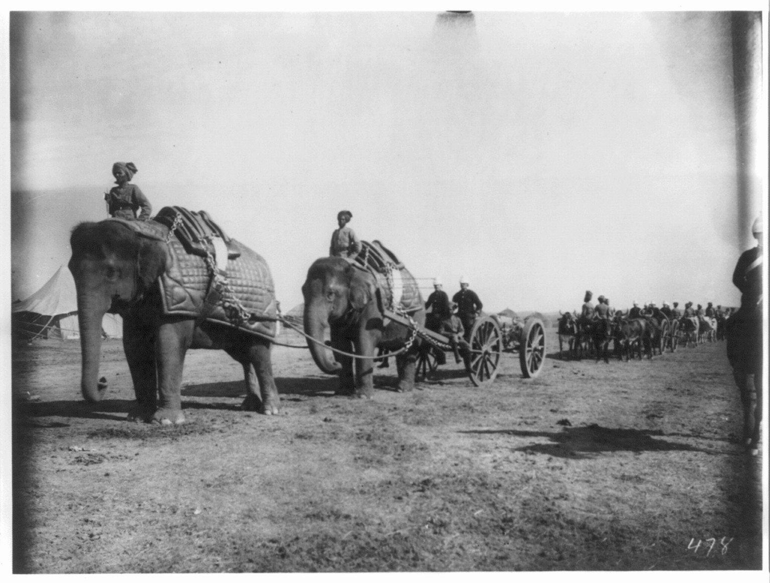 Elephant battery of heavy artillery along the Khyber Pass at Campbellpur, 1895 Feb. 5-8. — historic photograph