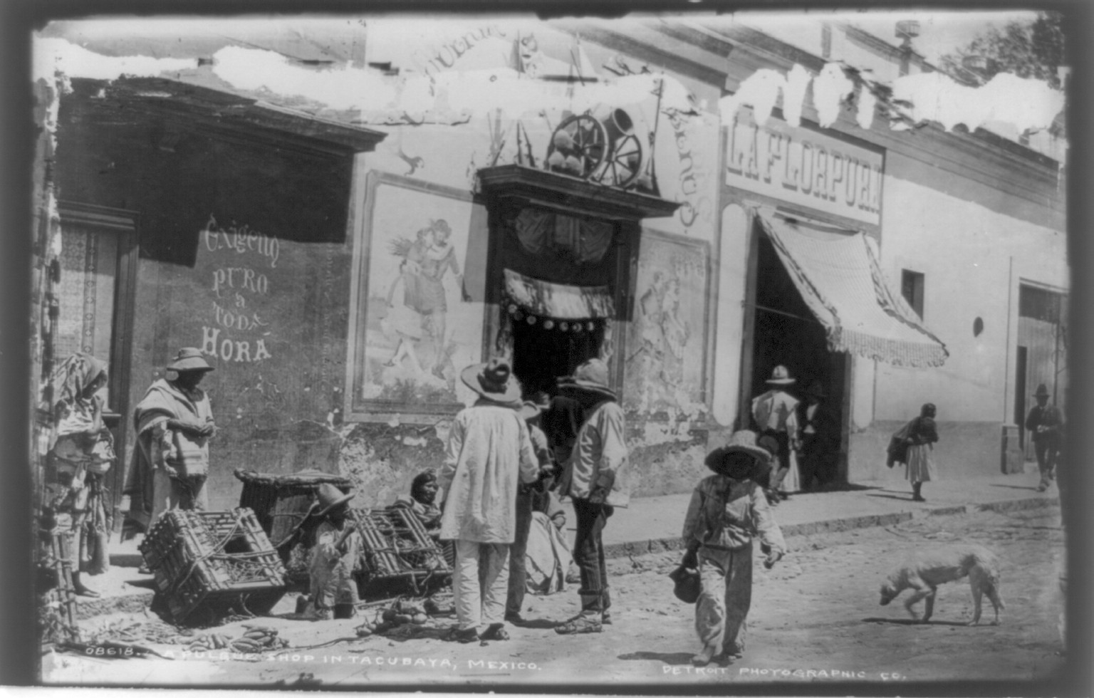 A pulque shop in Tacubaya, Mexico, [1884 or 1885] — historic photograph