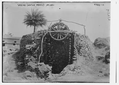 Sakieh (Water Wheel) Mt. Abu
